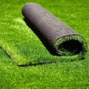 Economic Grass